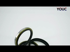 สีดํา DKBI DKB ผนึกน้ํามันฝุ่น ผนึกฝุ่นกระบอกไฮดรอลิก NBR PU ผนึกเครื่องเป่า